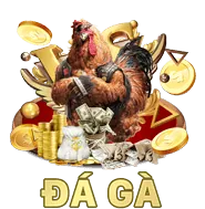Cá cược các giải bóng rổ VĐQG khác tại nn88d